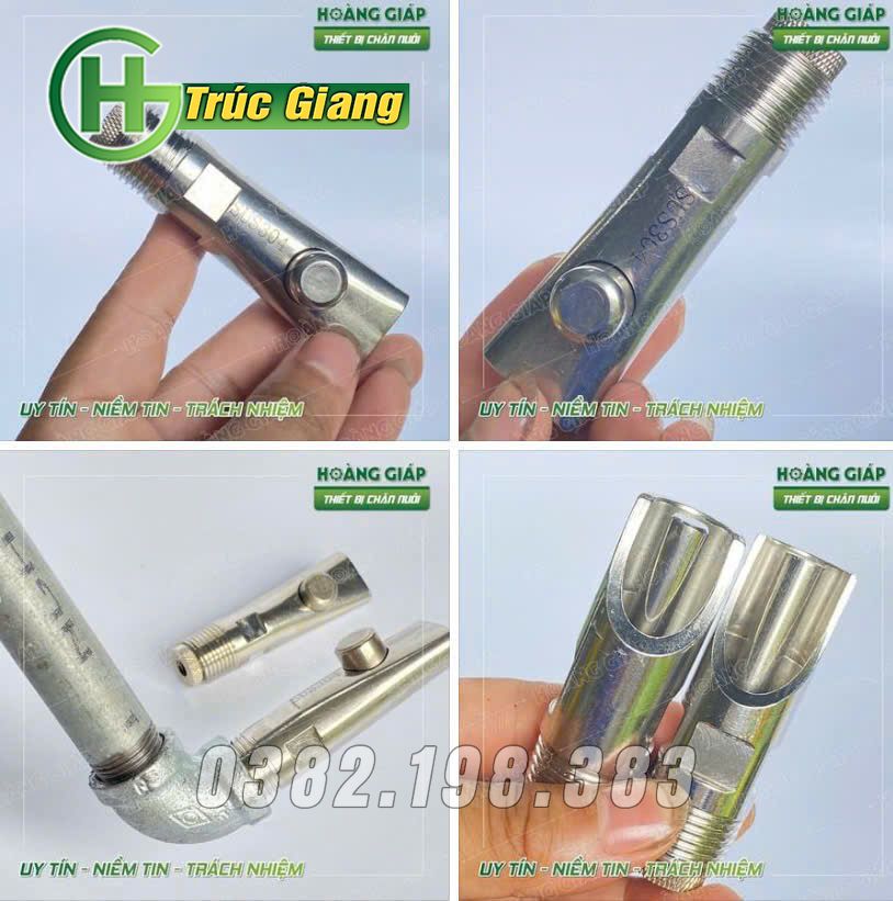 Cây nước - Hình ảnh 11