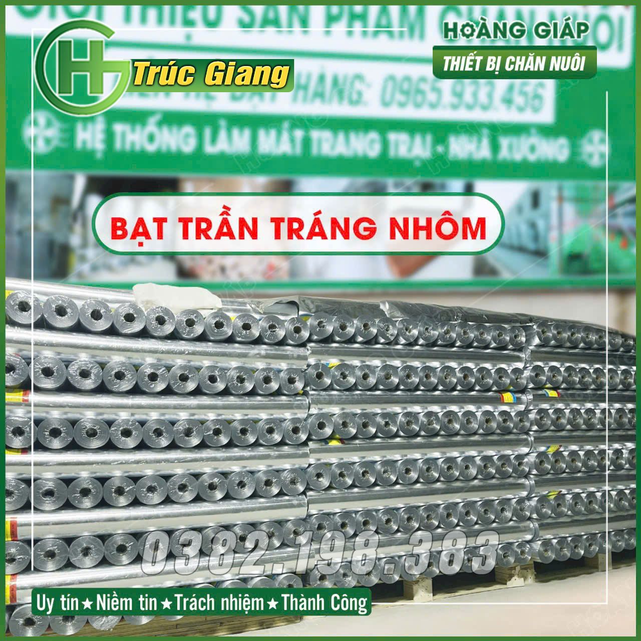 Bạt trần - Hình ảnh 4