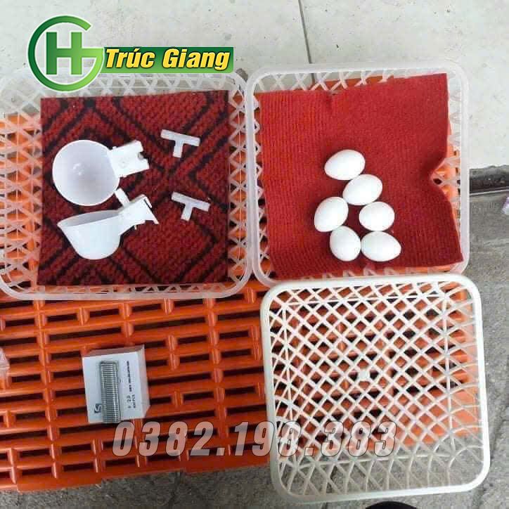 Phụ kiện lồng bồ câu 11
