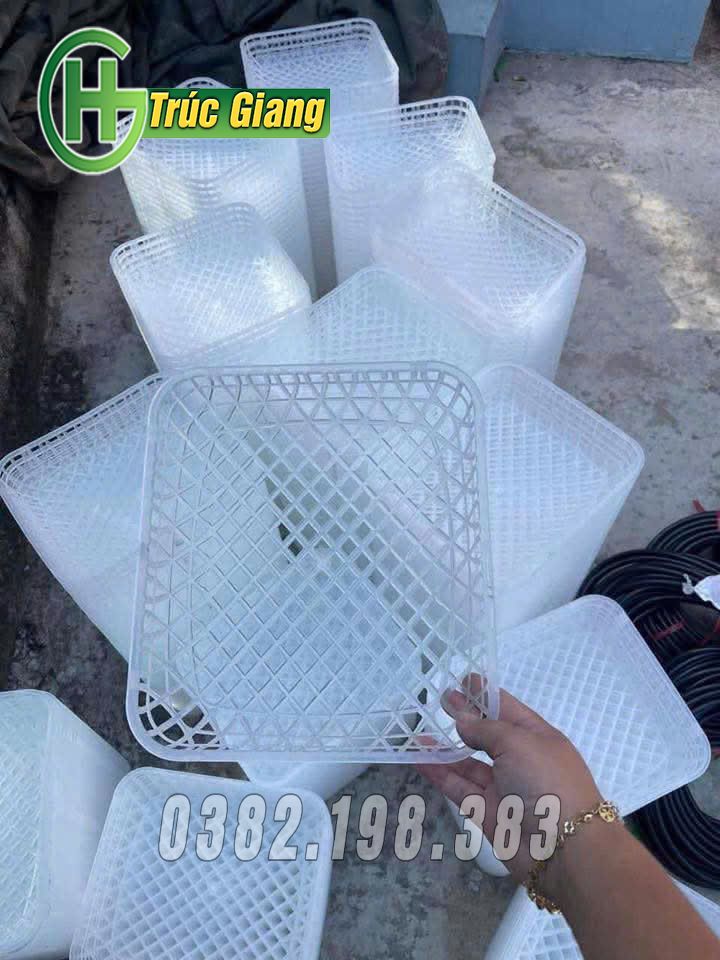 Phụ kiện lồng bồ câu 8