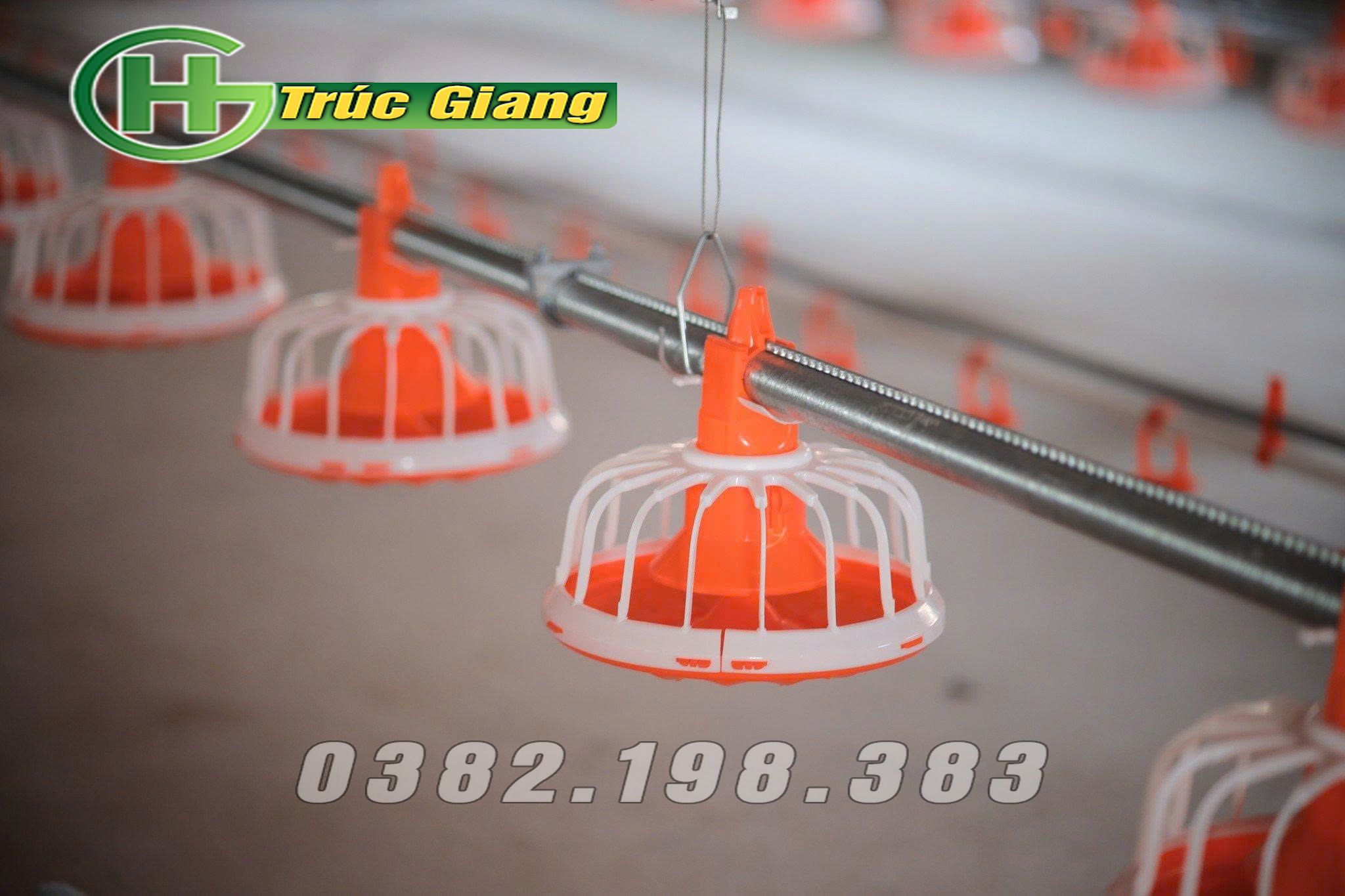 Đường ăn tự động cho gà 2