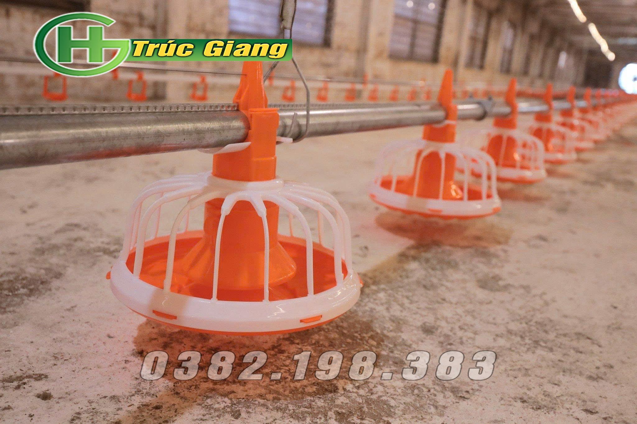 Đường ăn tự động cho gà 4
