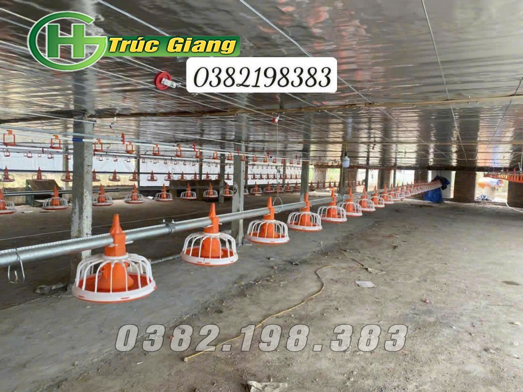 Đường ăn tự động cho gà 7