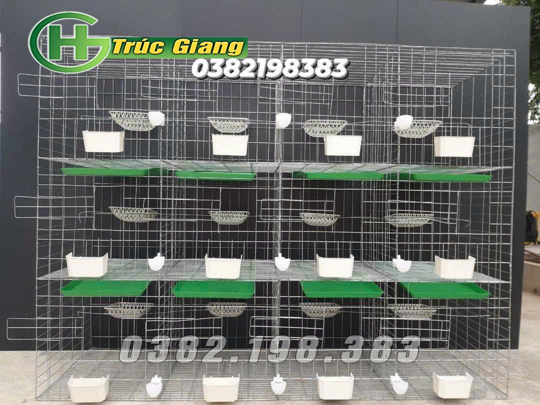 Lồng bồ câu 3