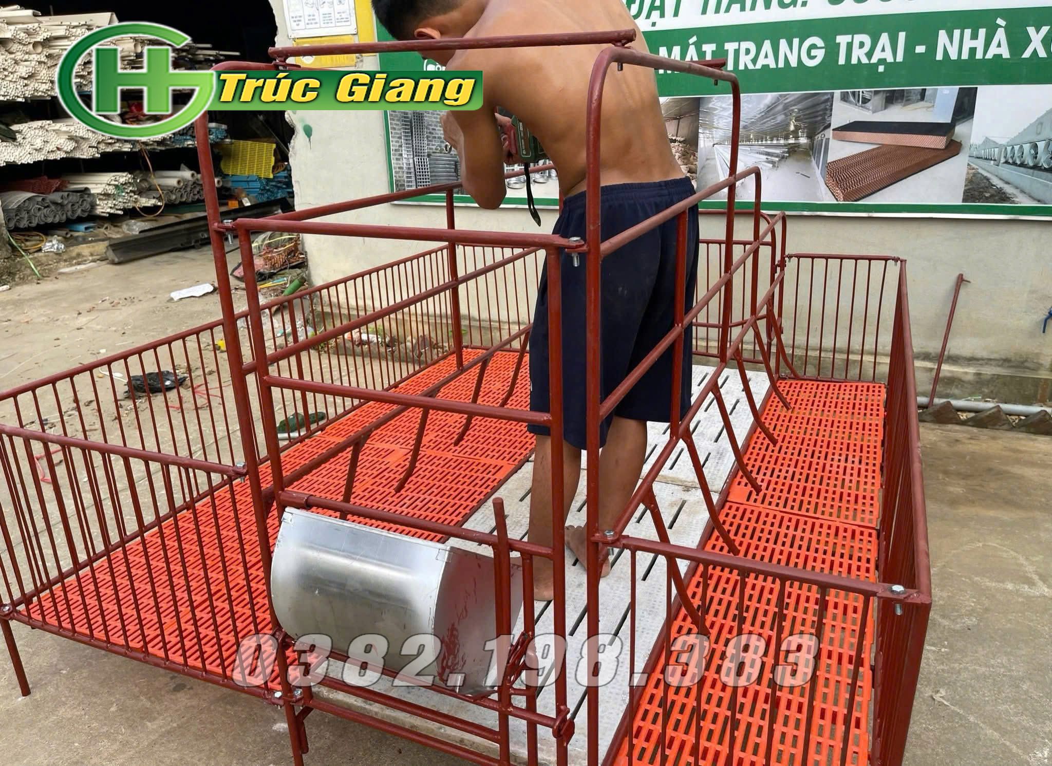 Cũi lợn nái - Hình ảnh 3