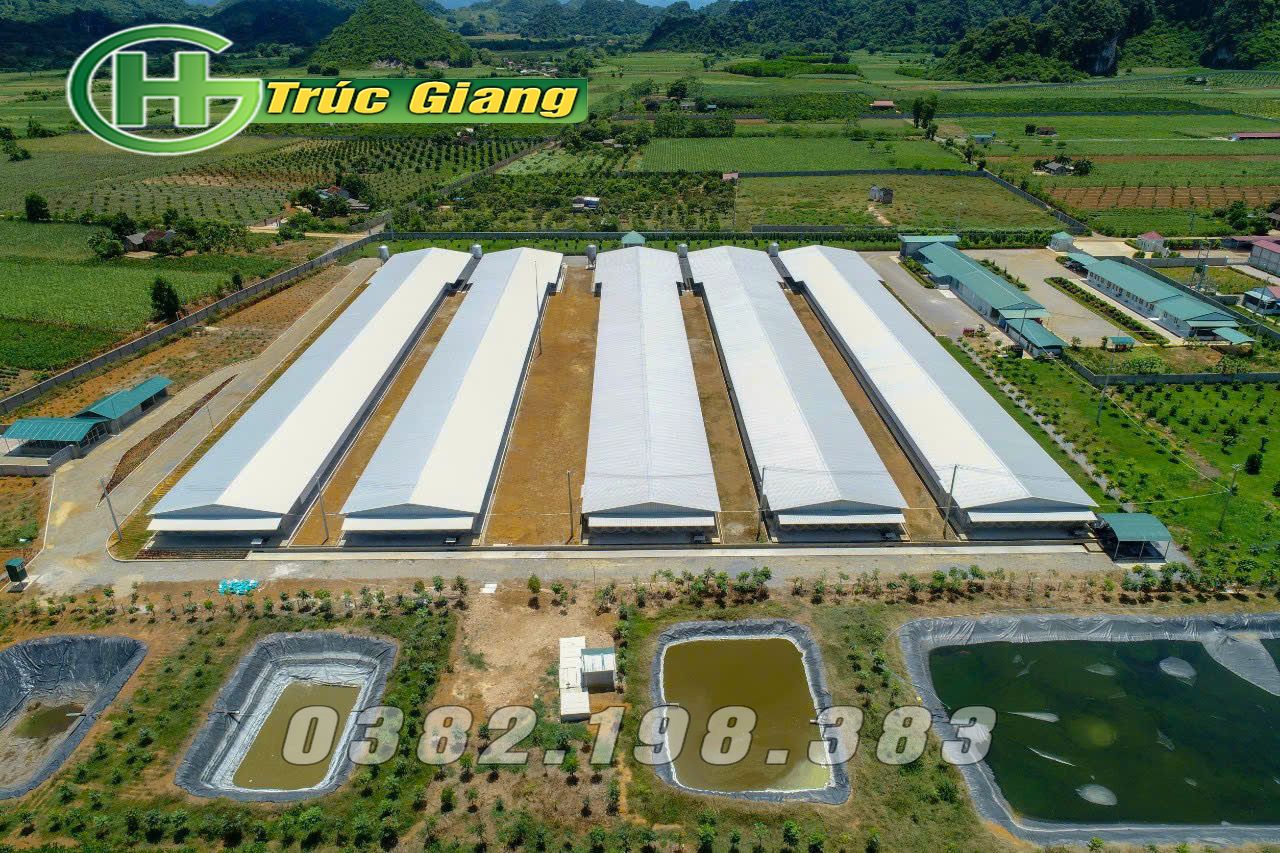 Hệ thống khử mùi - Hình ảnh 3
