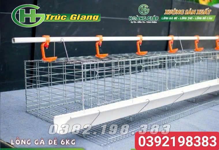 Lồng gà - Hình ảnh 10