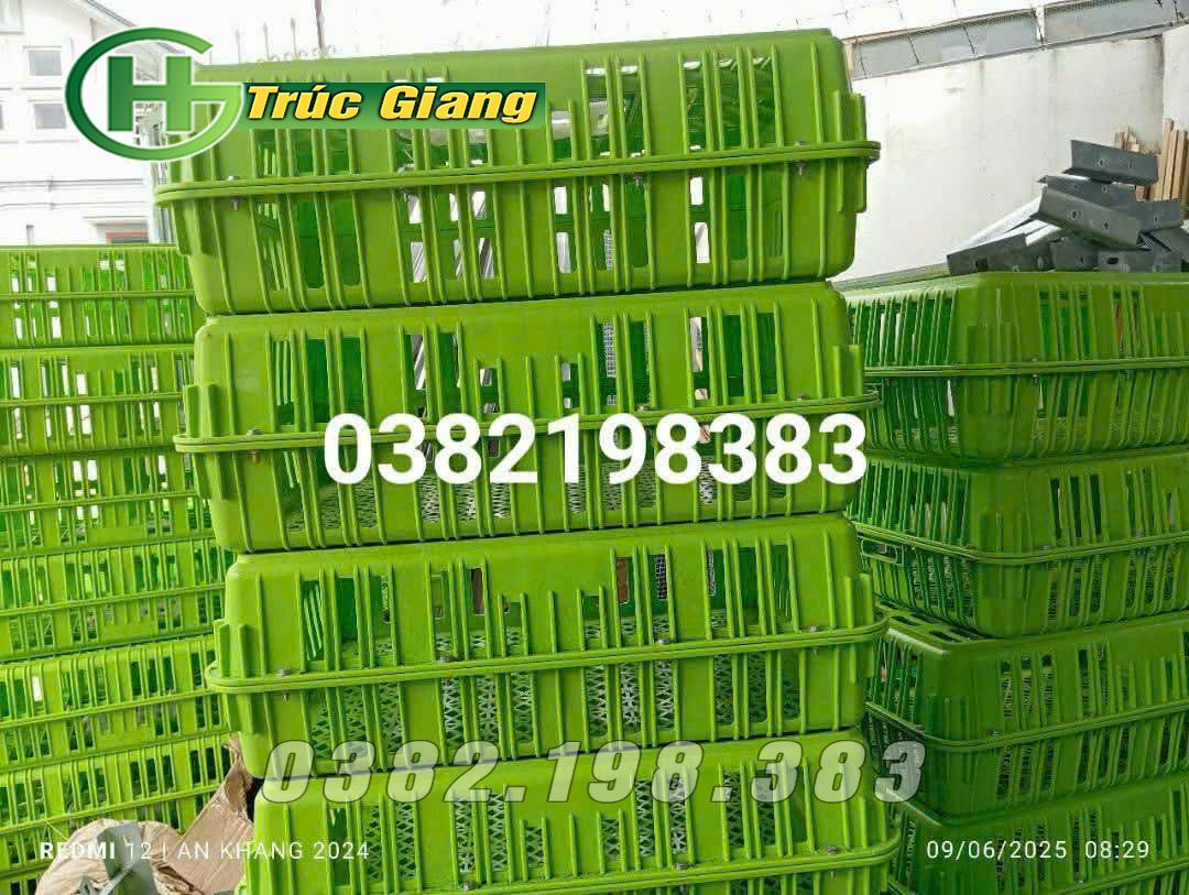 Lồng gà - Hình ảnh 18