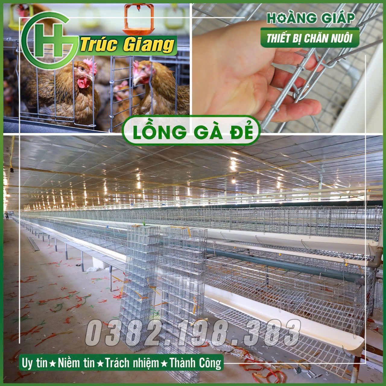 Lồng gà - Hình ảnh 6