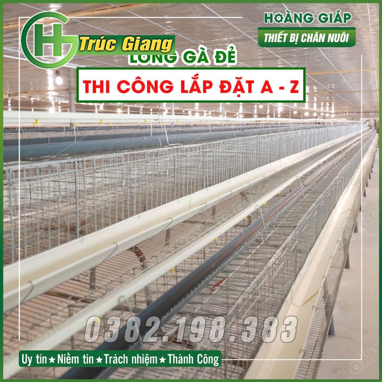 Lồng gà - Hình ảnh 7