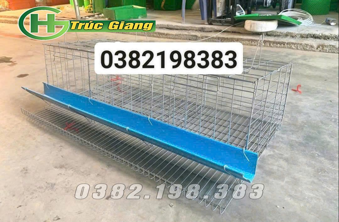 Lồng gà - Hình ảnh 9