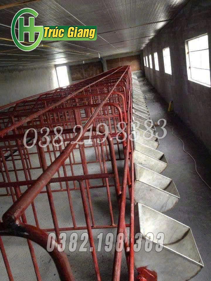 Chuồng bầu - Hình ảnh 11