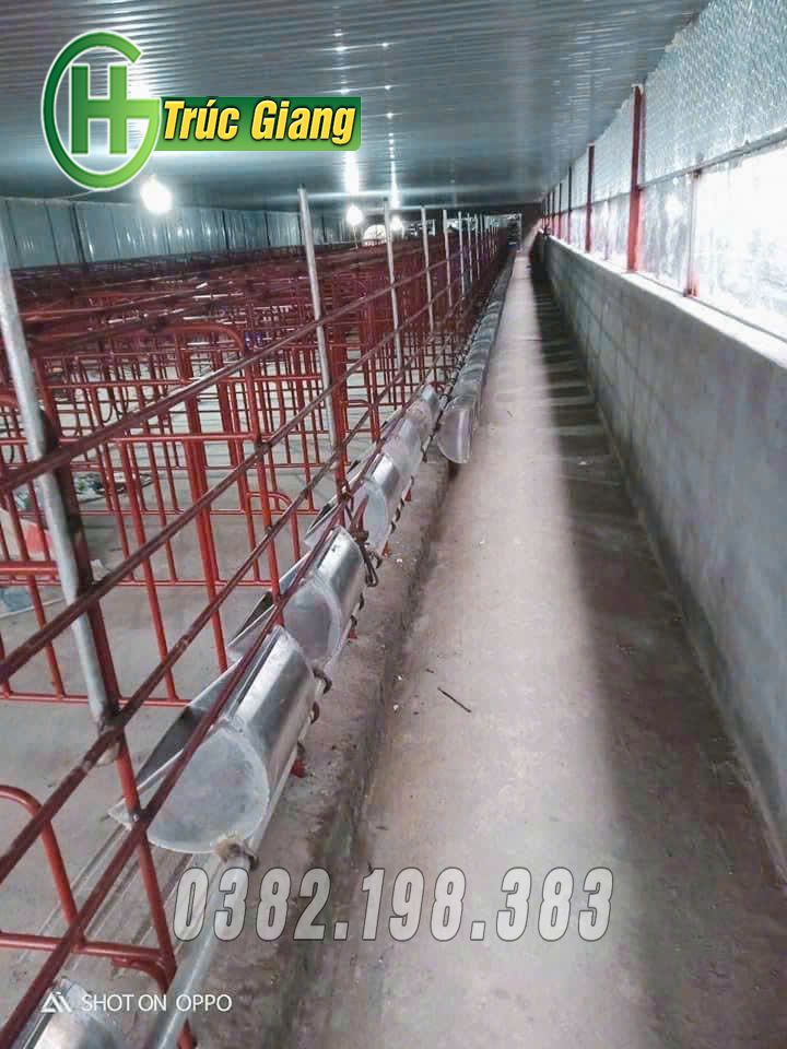 Chuồng bầu - Hình ảnh 12